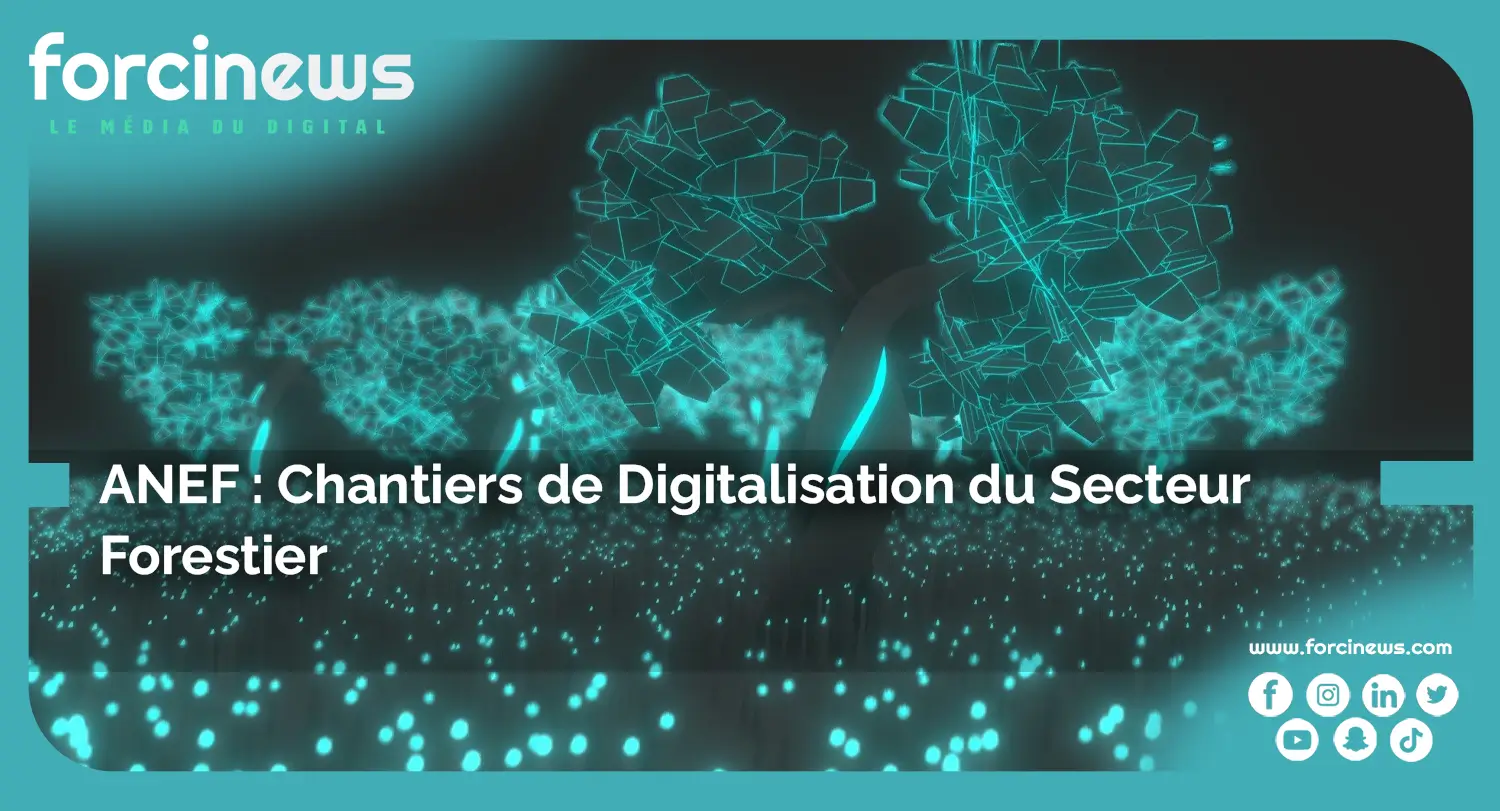 ANEF : Chantiers de Digitalisation du Secteur Forestier - Forcinews